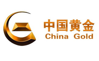 炒黄金投资管理的三大核心方法 科学规划、风险控制与灵活策略