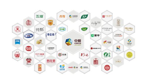 生活不止于想象 中粮悦著·九章启幕南京南站新篇章